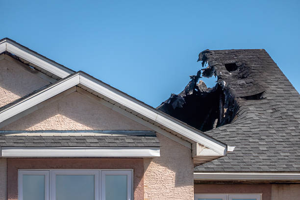 Licensed Fire Damage Assessment service in Victoria, MN - Fire Damage Biloxi